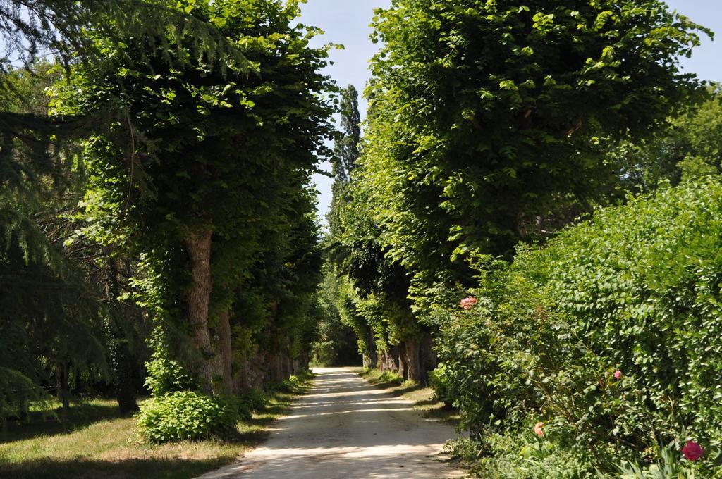 Bed and Breakfast Les Longchamps Neuille Екстер'єр фото